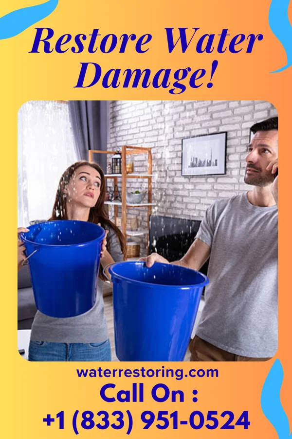 water restoration Peak Damage Recovery Force West Islip